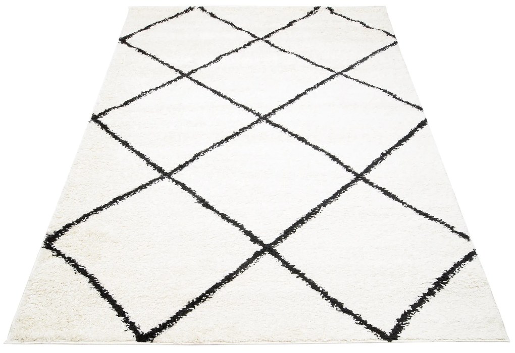 Dizajnový koberec DREA - SHAGGY ROZMERY: 60x100
