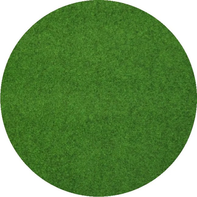 MK Original: Produkty s rodokmenem, Vianočný kruhový koberec pod stromček Sporting – na von aj na doma, 400x400 (priemer) kruh, zelená, chodba / predsieň