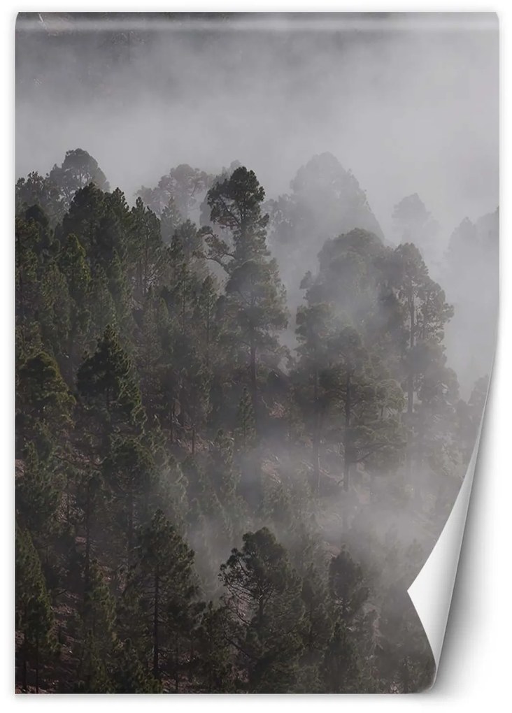 Gario Fototapeta Zelený les v hmle Materiál: Vliesová, Rozmery: 150 x 210 cm