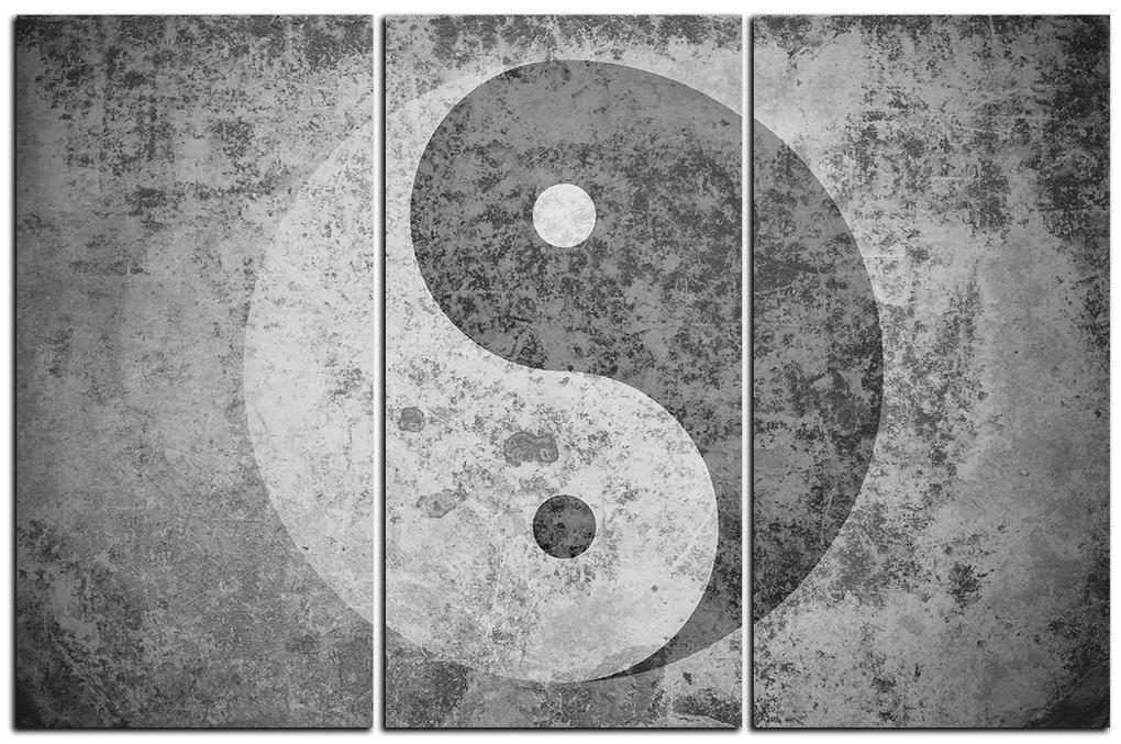 Obraz na plátne - Jin a jang symbol 1170QB (135x90 cm)