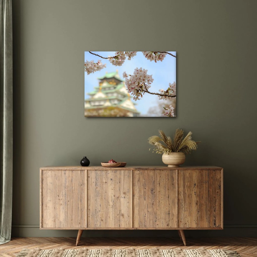 Obraz - Sakura (70x50 cm)