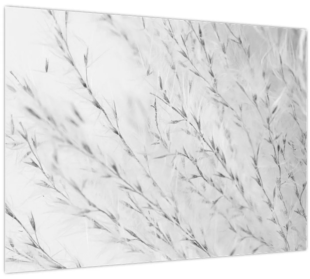 Obraz - Pampas grass N⁰2 (70x50 cm)