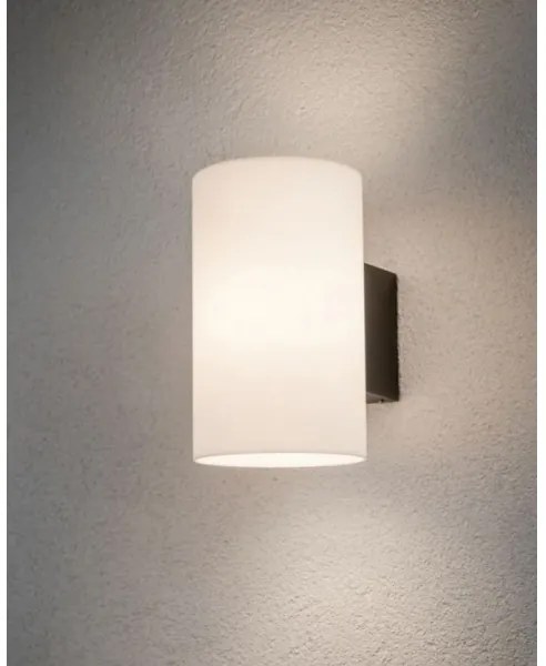 Paulmann 94186 - 1xE27/15W IP54 Vonkajšie nástenné svietidlo TUBE 230V