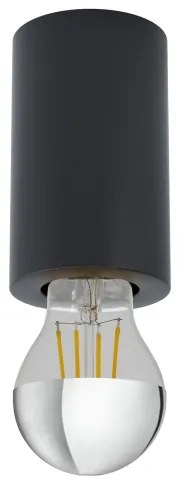 Eglo 99065 - Stropné svietidlo SALUZZO 1xE27/40W/230V