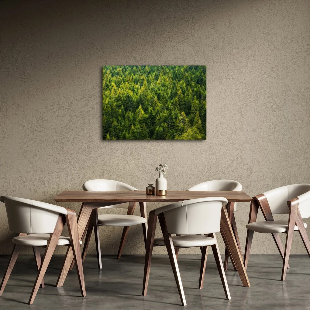 Obraz - Hustý les (70x50 cm)