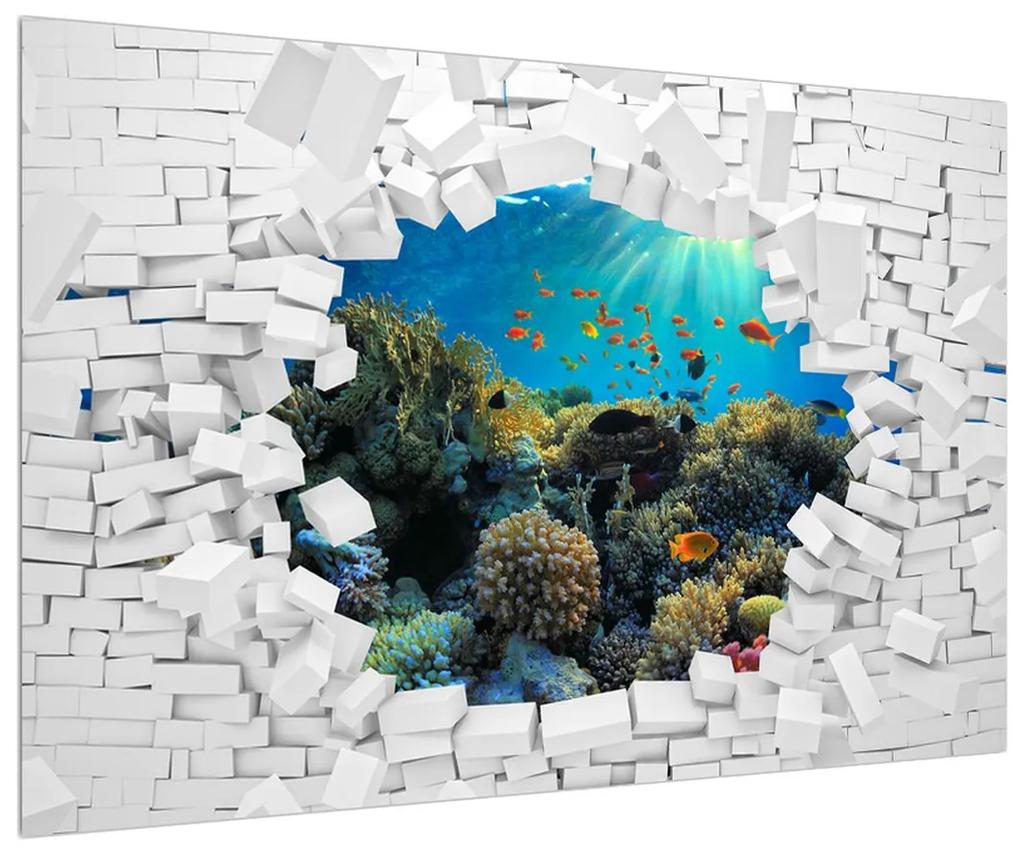 Obraz podmorského sveta (90x60 cm)