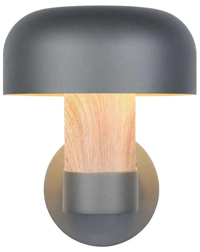 Nástenné vonkajšie svietidlo (výška 24,5 cm) Fraser – Trio