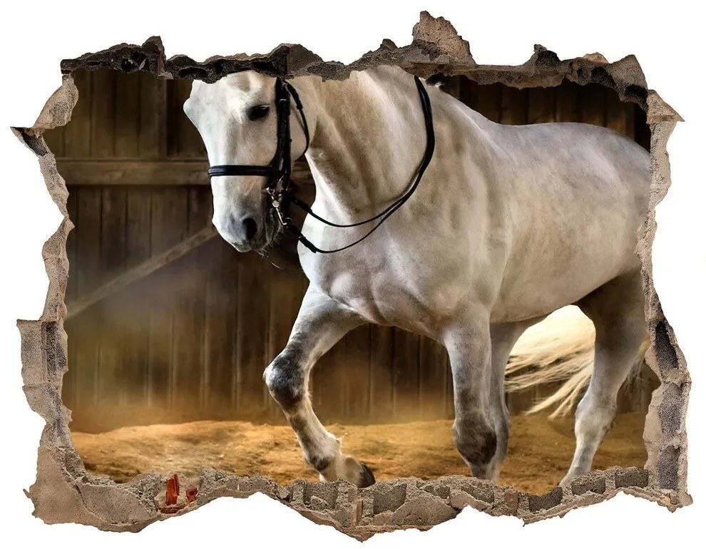 Díra 3D fototapeta na stěnu Biely kôň v stajni nd-k-113734003