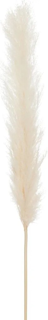 Prírodná vysoká dekoratívna tráva - 3*5*145 cm