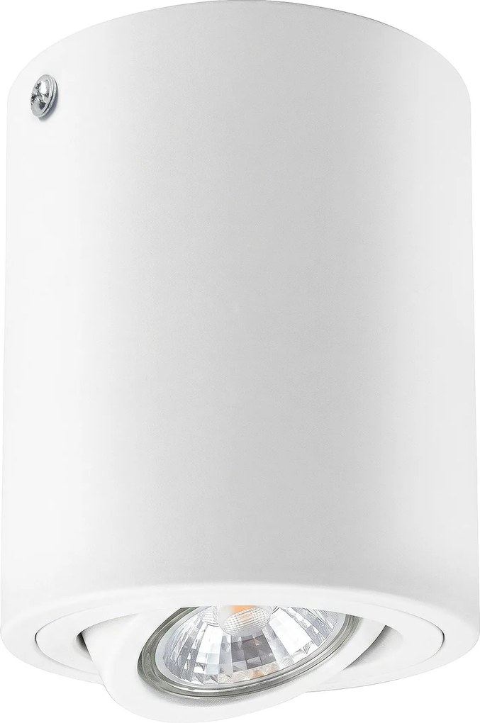 Toolight Toolight, stropné bodové svietidlo 1xGU10, JNH027-1C, biela, OSW-56213