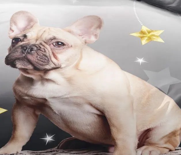 Obliečky BULLDOG SILVER 3-dielna sada 140x200 cm