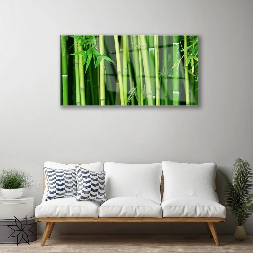 Skleneny obraz Bambusový les bambus príroda 100x50 cm