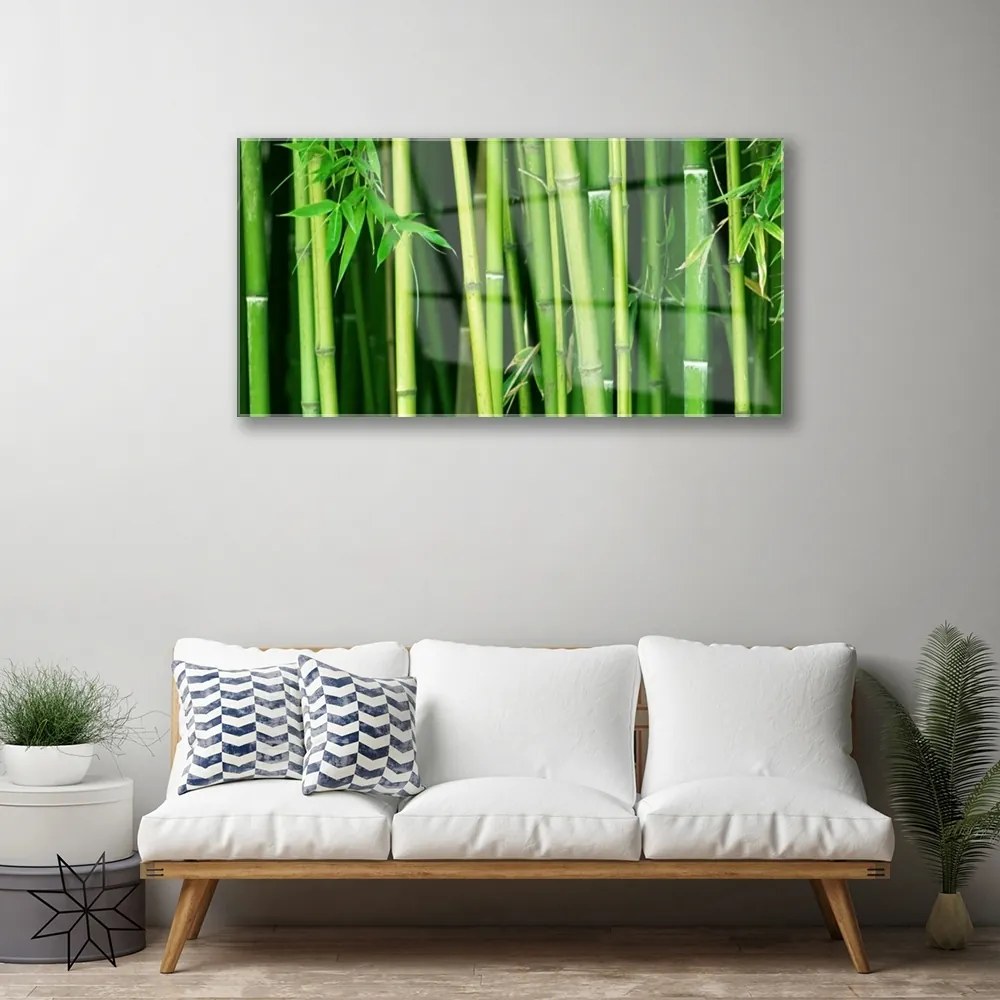 Skleneny obraz Bambusový les bambus príroda 125x50 cm
