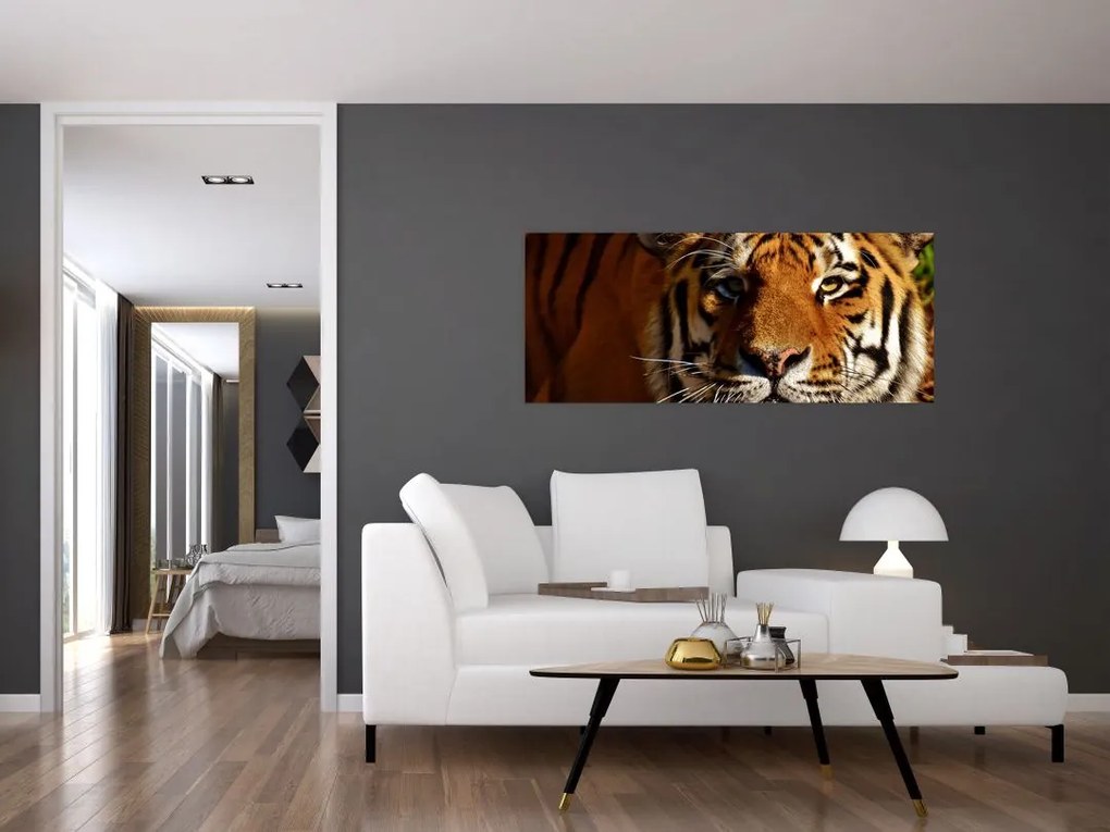 Obraz tigra (120x50 cm)