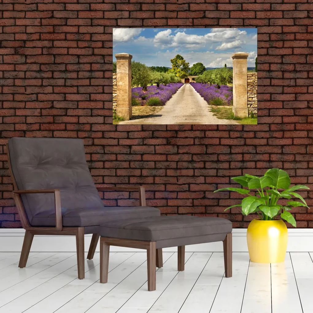 Obraz - Levanduľové cesty (90x60 cm)