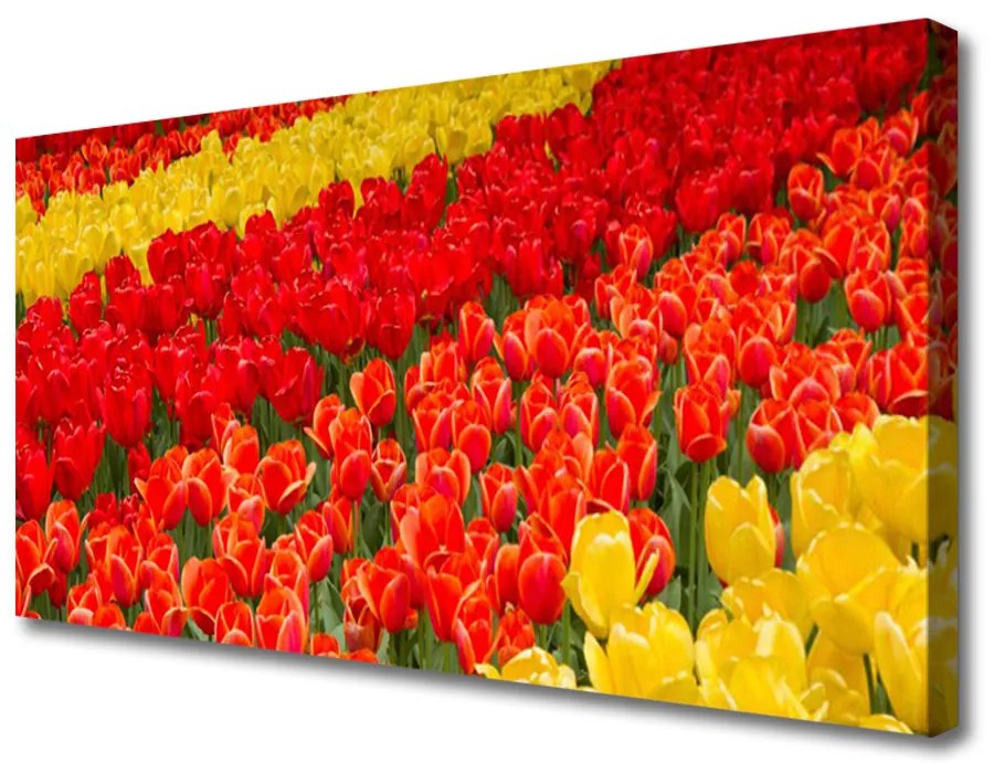 Obraz na plátne Tulipány kvety 120x60 cm