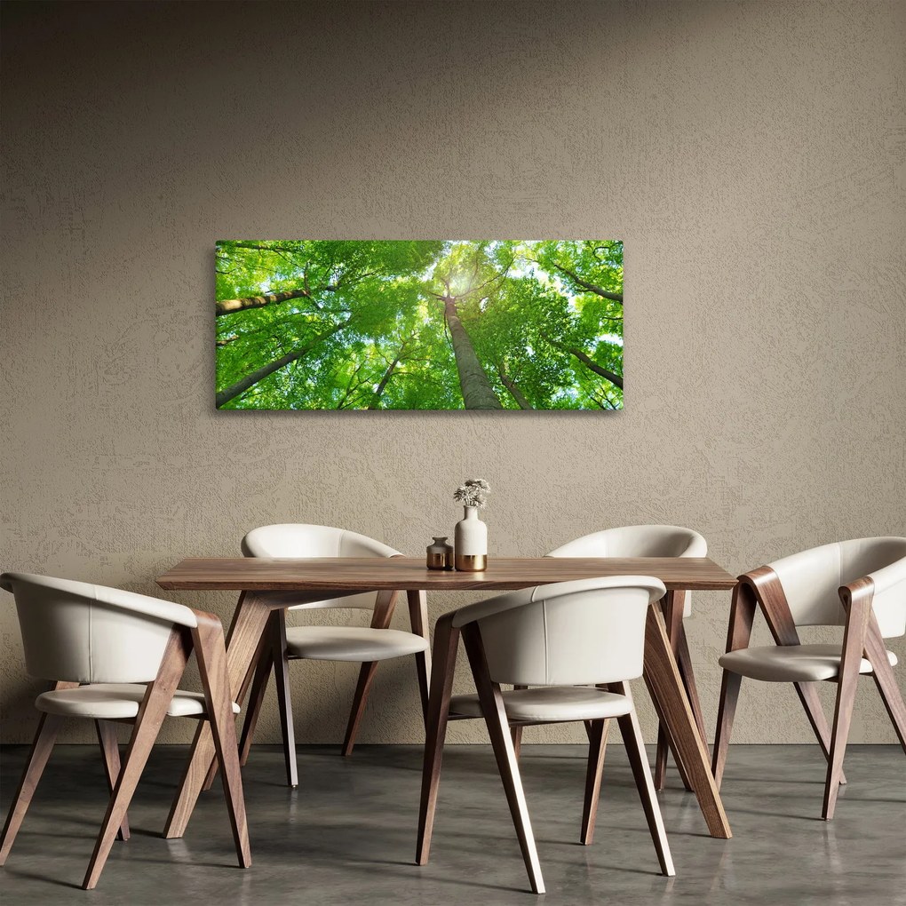 Obraz - Les (120x50 cm)