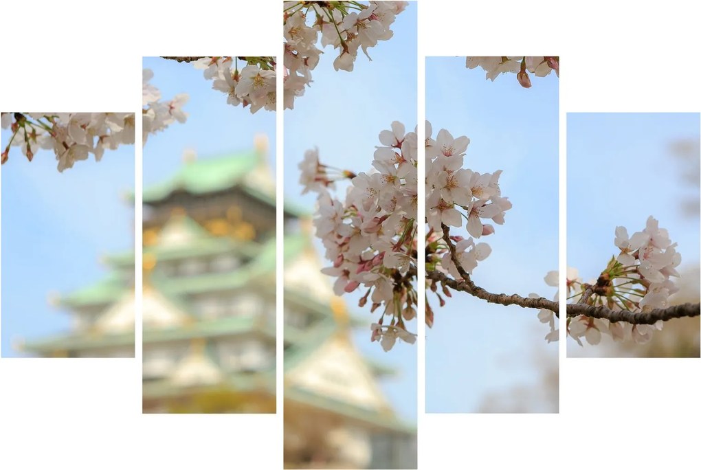 Obraz - Sakura (150x105 cm)