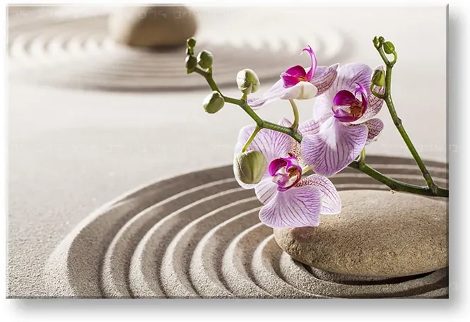 Obraz na plátne FENG SHUI_051-11 | rôzne rozmery