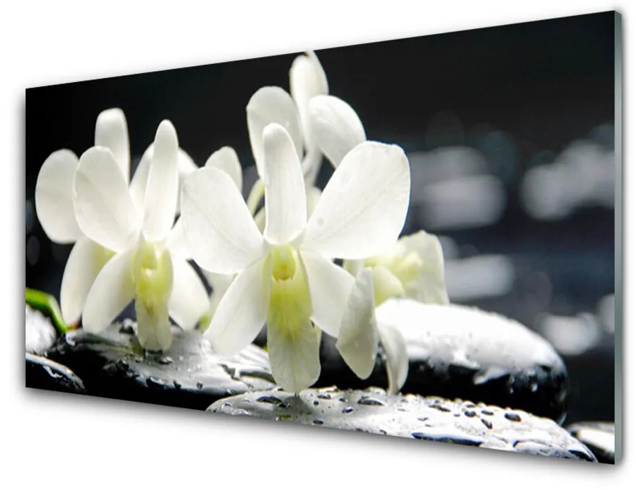 Obraz plexi Kamene kvety orchidea 125x50 cm