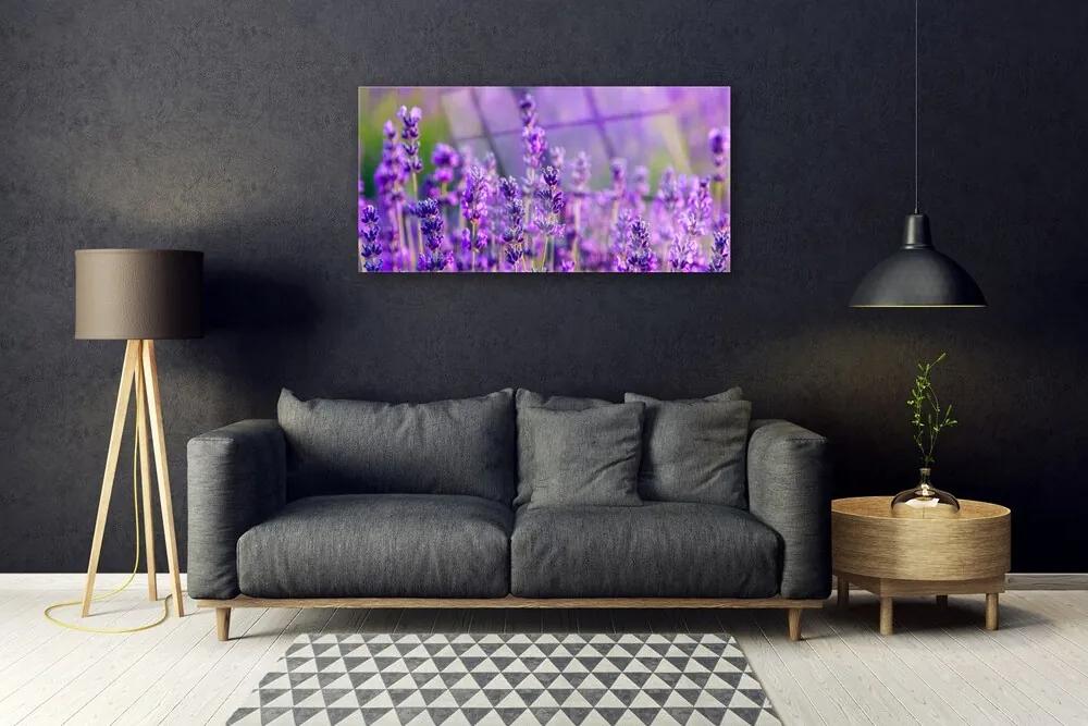 Skleneny obraz Pole fialová levanduľa 140x70 cm