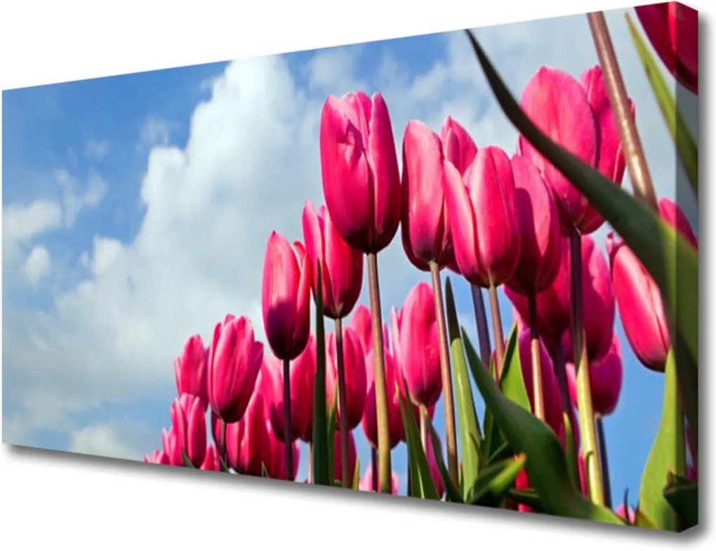 Obraz na plátně sklenený Tulipán
