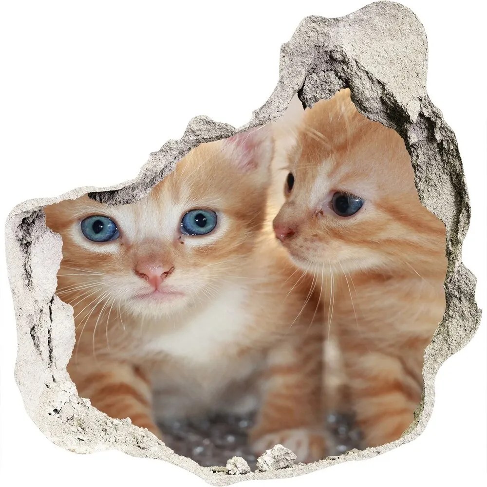 Diera 3D foto tapeta nálepka Malé mačky nd-p-159538391