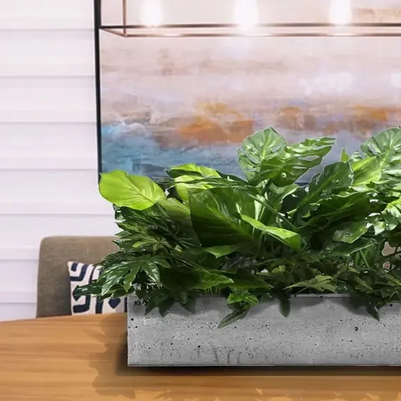 Flowerpot insert Las Palmas