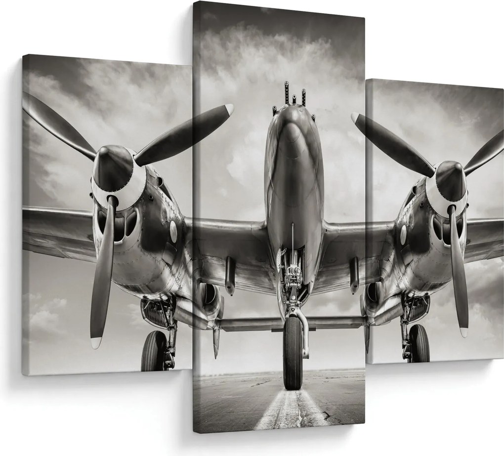 Obraz - Warbird (90x60 cm)