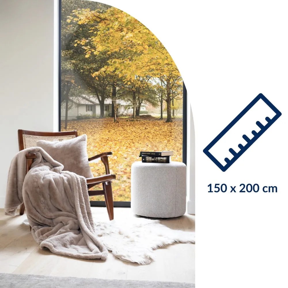 Sivá deka z umelej kožušiny 150x200 cm Ruby – Tiseco Home Studio