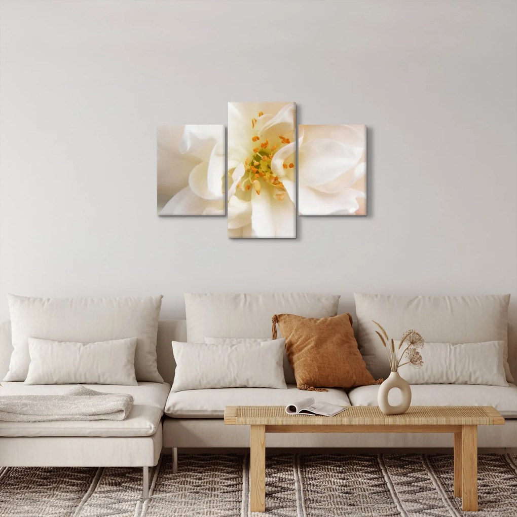 Obraz - Kvet (90x60 cm)