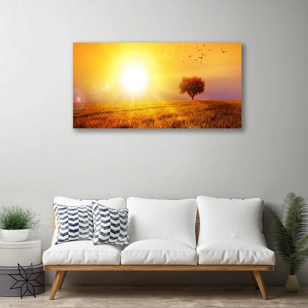 Obraz Canvas Západ slnka lúka plátky 140x70 cm