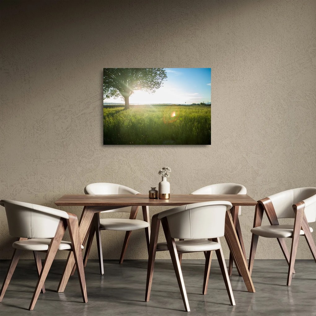 Sklenený obraz stromu v poli (70x50 cm)