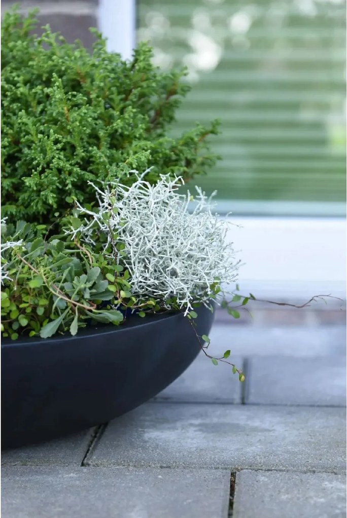 Okrasná miska PLANA, sklolaminát, 14xØ54 cm, antracit