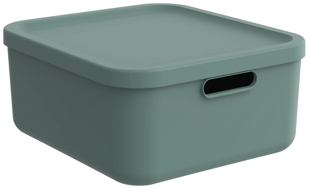 Rotho Úložný box, rovný s vekom, 20 l, matná zelená ALBU LIGHT, 40 x 36 x 18