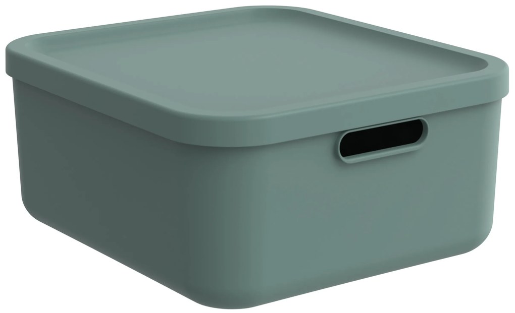 Rotho Úložný box, rovný s víkem, 20l, matně zelená ALBU LIGHT, 40x36x18