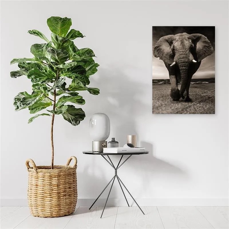 Gario Obraz na plátne Slon XXL na savane Rozmery: 80 x 120 cm