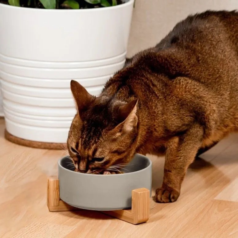 Keramická miska na bambusovém stojanu pro psy a kočky CATI šedá