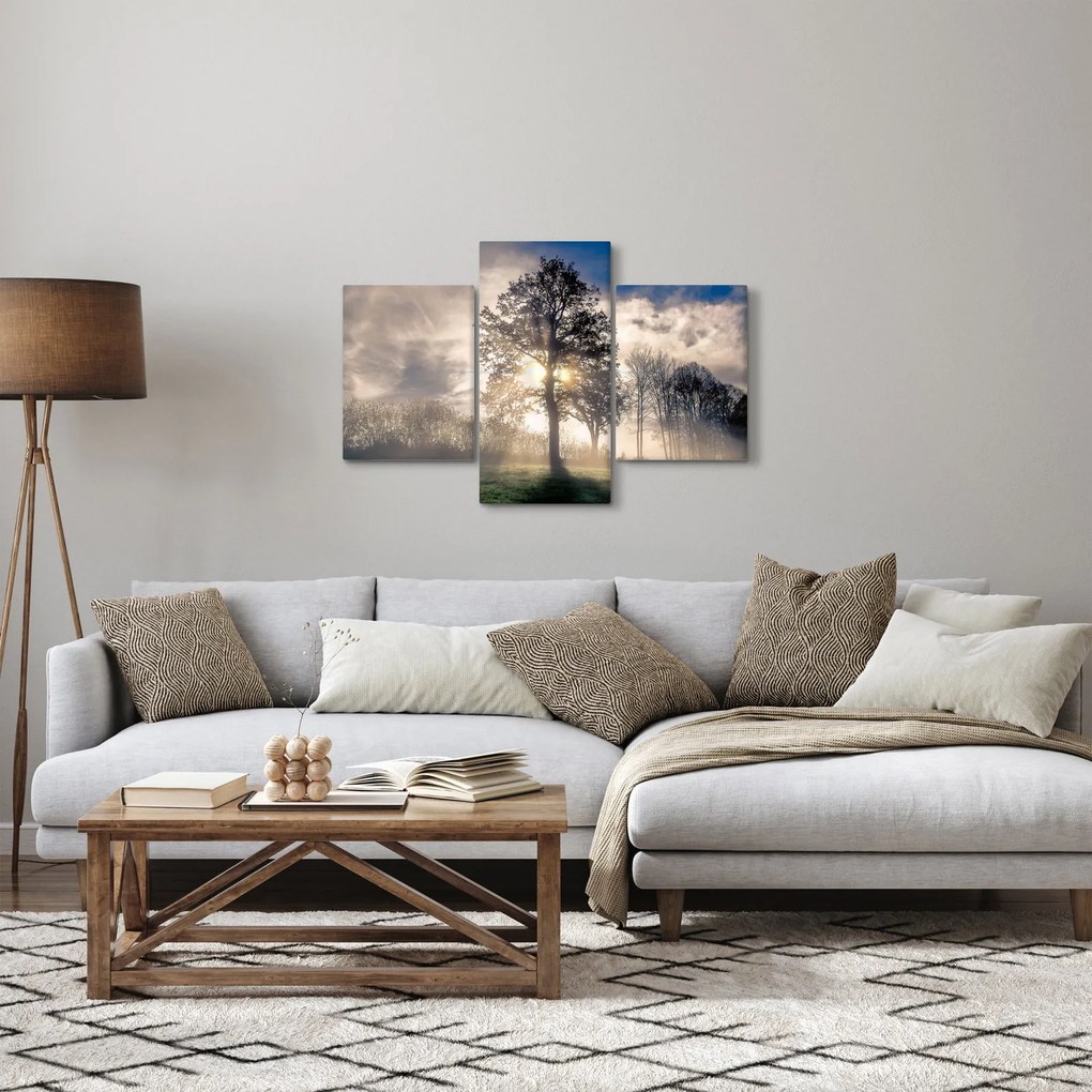 Obraz stromu v hmle (90x60 cm)