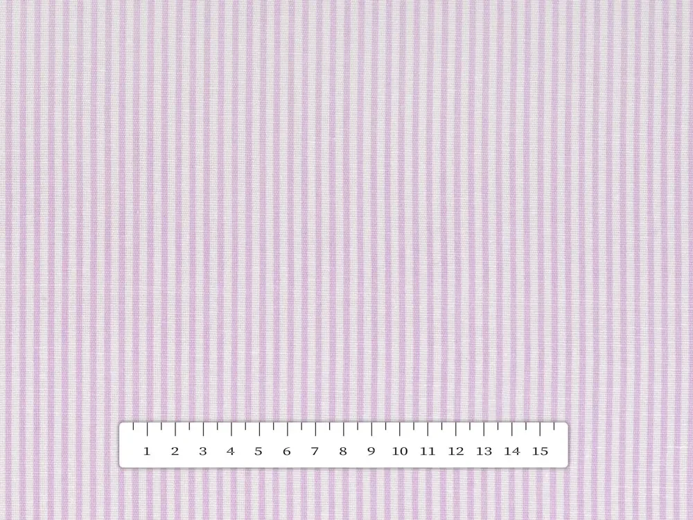 Biante Dekoračné prestieranie na stôl Leona LN-160 Svetlo fialové pásiky na bielom 30x40 cm