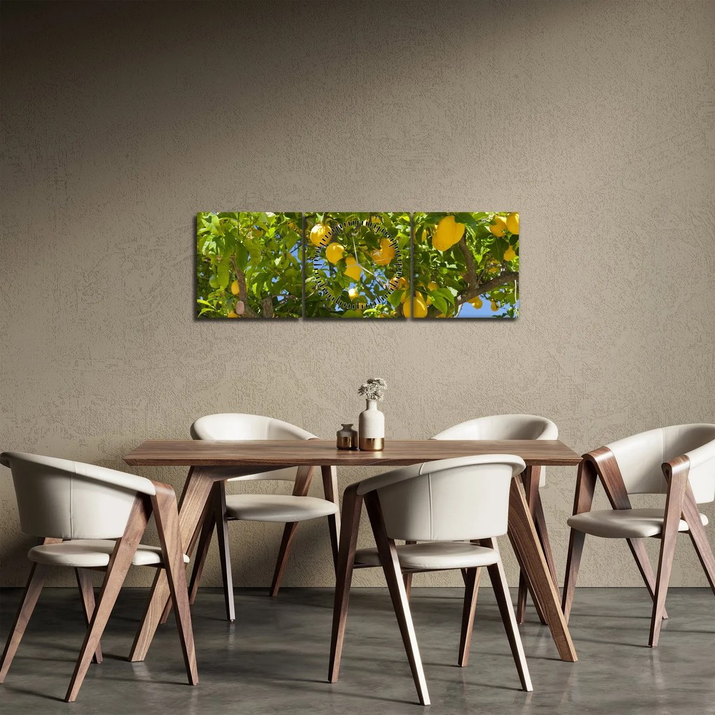 Obraz - Citrónovník (s hodinami) (90x30 cm)