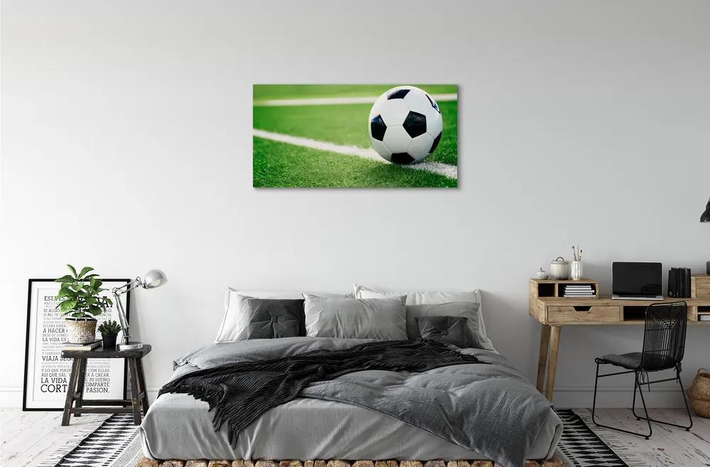 Obraz canvas futbalový trávnik 125x50 cm