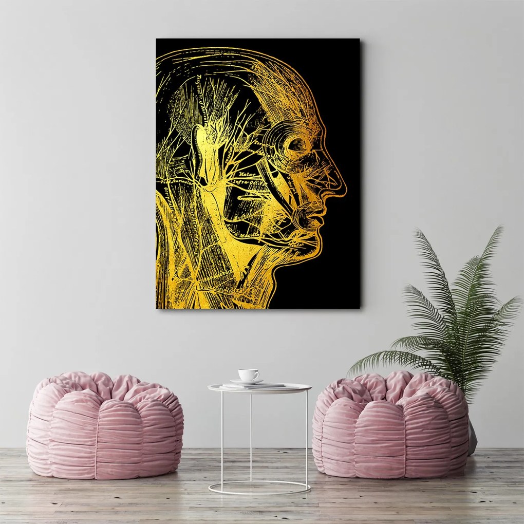 Gario Obraz na plátne Zlatá anatómia, bočná strana - Gab Fernando Rozmery: 40 x 60 cm
