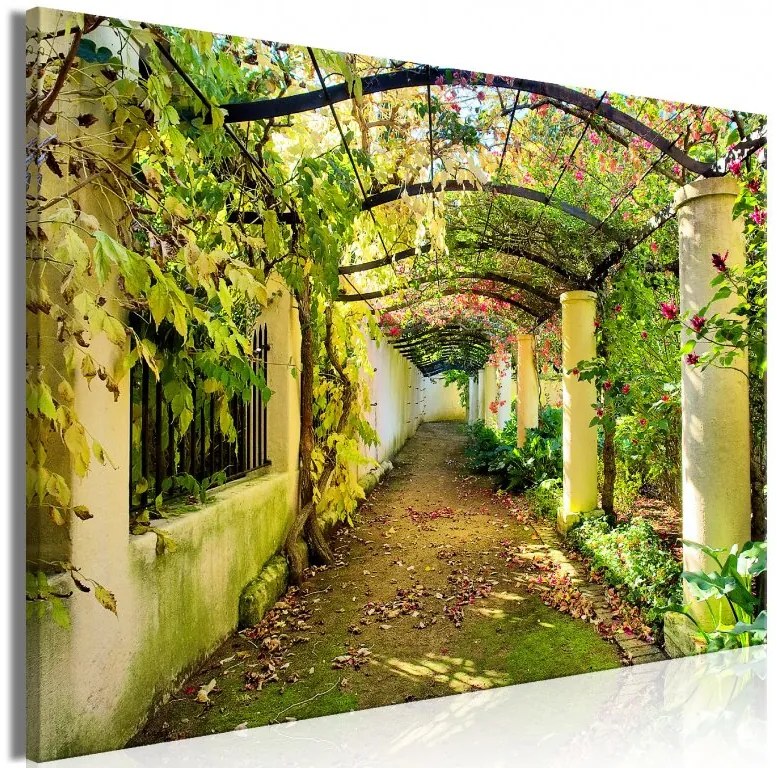 Artgeist Obraz - Pergola (1 Part) Wide Veľkosť: 30x20, Verzia: Premium Print