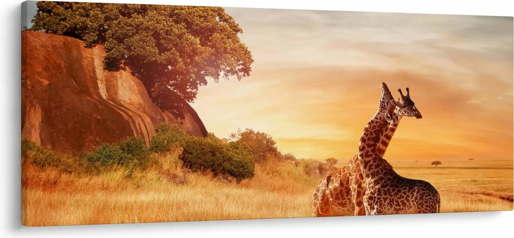 Obraz - Žirafy v Afrike (120x50 cm)