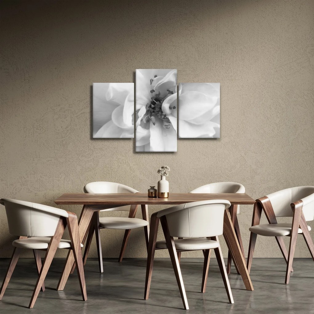 Obraz - Kvet, čiernobiela (90x60 cm)