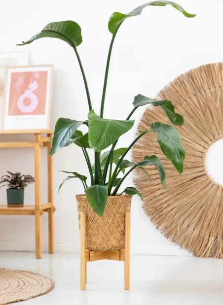 Stojan na kvety NEST