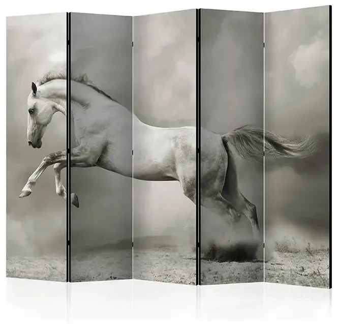 Paraván - Wild Stallion II [Room Dividers] Veľkosť: 225x172, Verzia: Obojstranný