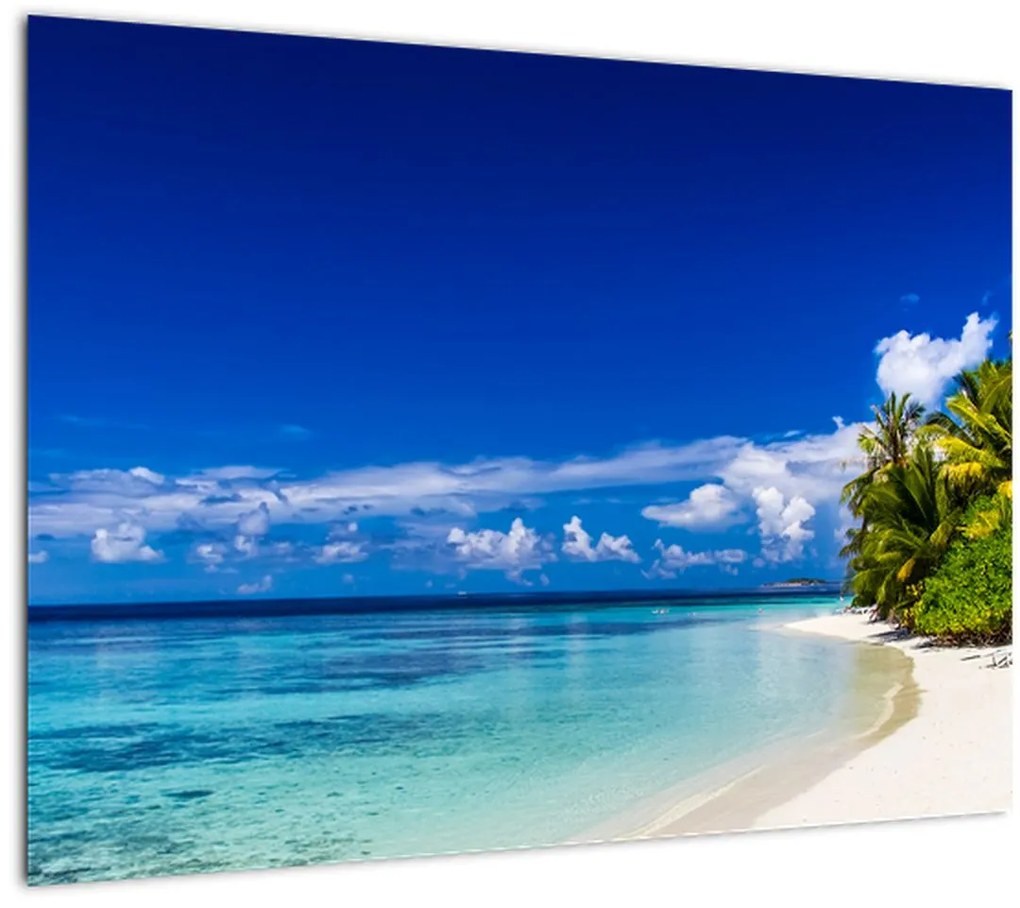 Obraz tropickej pláže (70x50 cm)