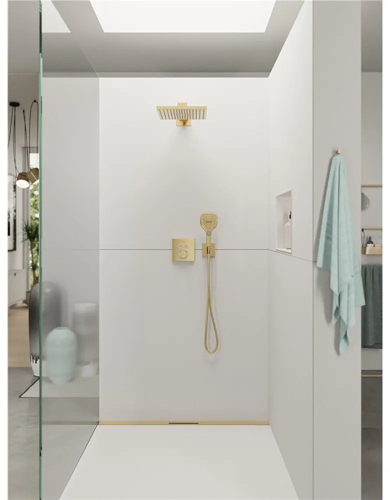 HANSGROHE Raindance Select E ručná sprcha 3jet, 120 x 120 mm, leštený vzhľad zlata, 26520990